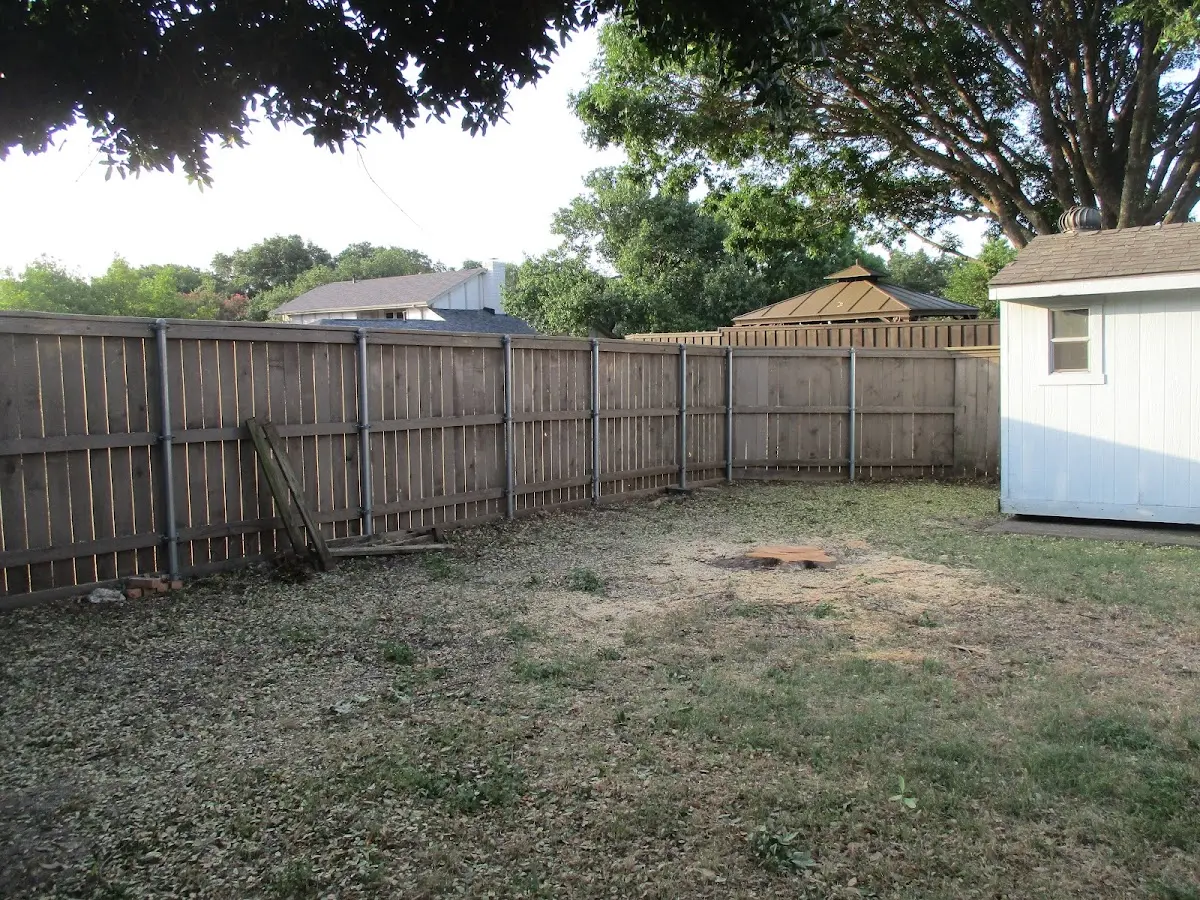 Cleared yard after professional tree removal in Glenville